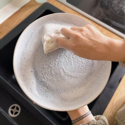 Dishwashing Liquid Refill Pack